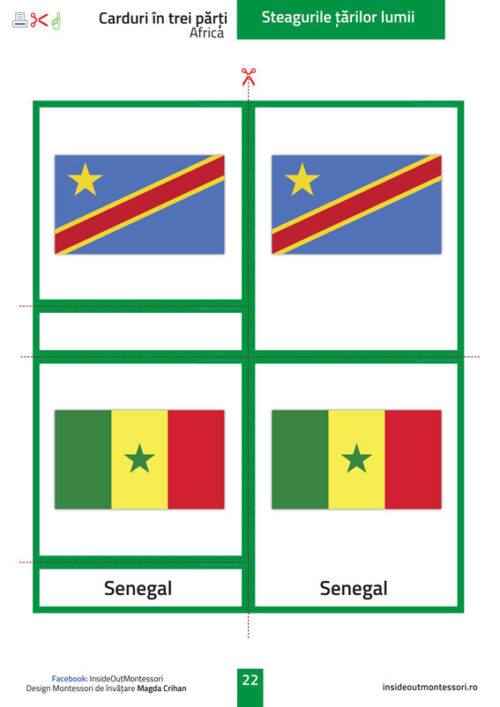 Steagurile lumii - Africa