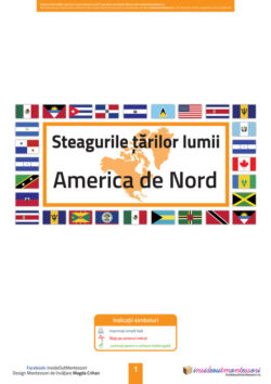Steagurile lumii - America Nord