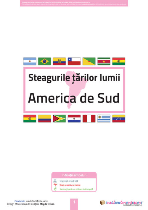 Steagurile tarilor - America de Sud