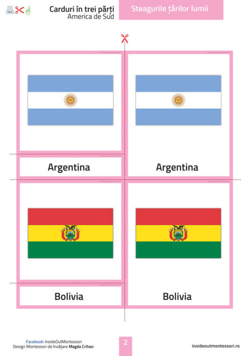 Steagurile tarilor - America de Sud