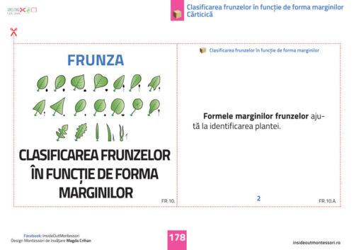 Partile unei plante - Frunza